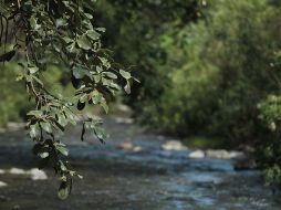 ¿Ya no aguantas el calor? Refréscate en estos lugares cercanos a Guadalajara