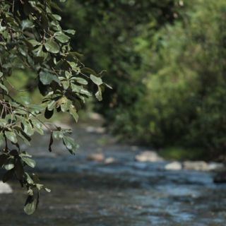 ¿Ya no aguantas el calor? Refréscate en estos lugares cercanos a Guadalajara