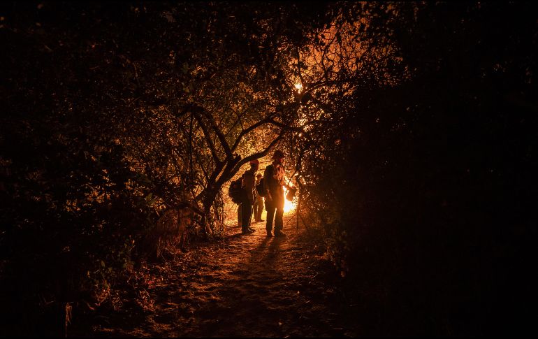 Canadá atraviesa una seria crisis de incendios forestales. EFE/ARCHIVO