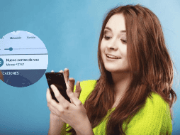 La notificación de buzón de voz puede llegar a ser muy molesta para varias personas. PINTEREST/ acuere/ Stonkstutors