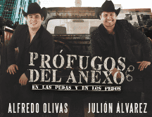 Los días de preventa son 15 y 16 de mayo para clientes Banorte, ya sea tarjeta de crédito o débito. X/@ticketelhamster