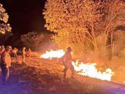 El incendio no generó afectaciones a viviendas cercanas. ESPECIAL/ Protección Civil