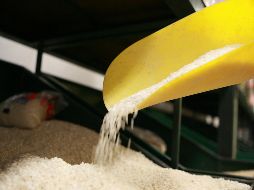 El genmaicha se prepara tostando granos de arroz integral o blanco hasta que adquieren un color dorado y luego infusionándolos en agua caliente. EL INFORMADOR / ARCHIVO