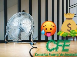 Es posible adquirir electrodomésticos con financiamiento de la CFE. ESPECIAL