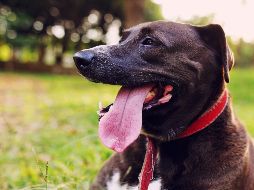 También se notará que su piel no es la misma. UNSPLASH / S. CARLOS