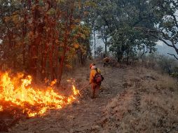 Para atenderlo, se requirió de la participación de hasta 261 brigadistas de diversas corporaciones. ESPECIAL / SEMADET