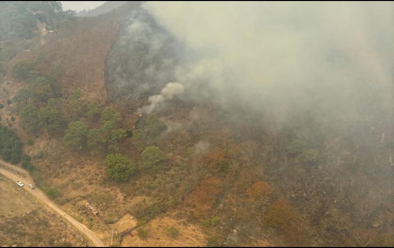 En el combate del incendio llegaron a participar hasta 137 brigadistas. ESPECIAL
