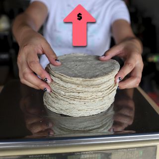 ¿Qué está provocando que se eleve el precio de la tortilla?