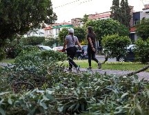 El ejercicio regular y el esfuerzo aeróbico pueden tener un impacto en la salud y la longevidad. EL INFORMADOR / ARCHIVO