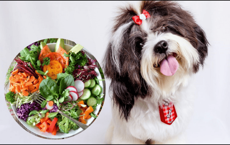 Aquí te compartimos algunas de las verduras de hoja verde y otras más recomendadas. UNSPLASH / E. TORRES