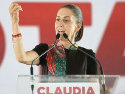 Según la morenista, la agenda legislativa de su partido no ha incluido la diversidad sexual. EL UNIVERSAL