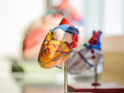 Una alimentación saludable para el corazón incluirá el consumo de frutas. ESPECIAL/ Foto de StockSnap en Pixabay