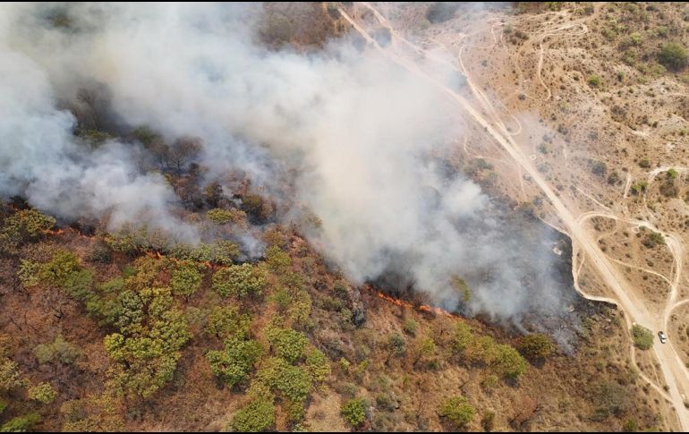 El fuego fue controlado por la noche según la SEMADET a las 21:00 horas de la noche, sin embargo, las labores de enfriamiento de la zona continuaron por varias horas. ESPECIAL