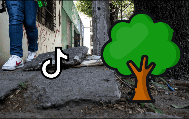 El aumento en la temperatura de México ha impulsado este trend que se ha hecho viral en TikTok. EL INFORMADOR / ARCHIVO