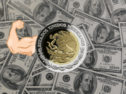 Sería una apreciación inédita para un periodo electoral, y luego de dos años de apreciaciones. UNSPLASH / Mackenzie Marco