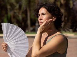 El Gobierno mexicano previó al menos cinco ondas de calor entre marzo y julio, el 16 de abril pasado. Freepick