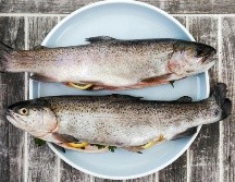 No existen indicios sobre efectos beneficios del consumo de estos ácidos grasos en casos de fibrilación cerebrovascular. Unsplash.