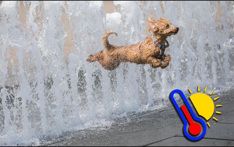 El fin de semana se esperan altas temperaturas que en regiones como Jalisco, donde se podrían alcanzar hasta los 45 °C en algunas zonas. EFE / ARCHIVO