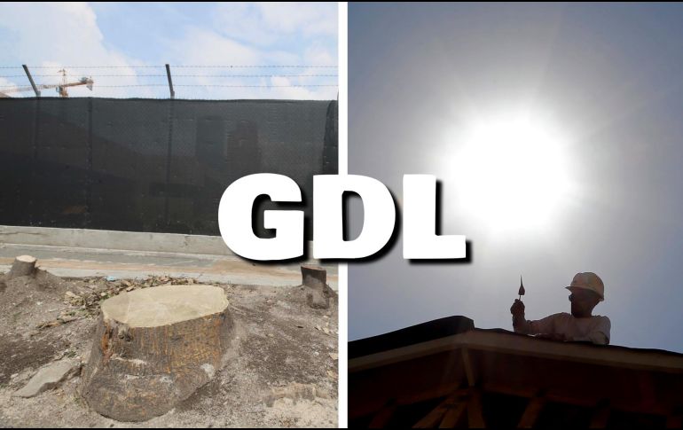 Los árboles nuevos, colocados como medida de compensación por obras, no prestan los mismos servicios ambientales y el calor continúa. SUN / AP / ARCHIVO