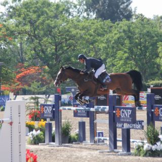 Salto ecuestre en el GCC