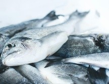 El consumo de aceites de pescado, una fuente rica en ácidos grasos de omega-3, ha sido recomendado como una medida dietética para prevenir enfermedades cardiovasculares. ESPECIAL / Foto de Jakub Kapusnak en Unsplash