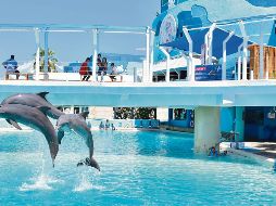 Cancún, más allá  de sus playas