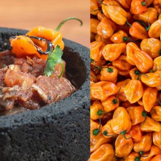 Taste Atlas: La mejor salsa picante del mundo es yucateca