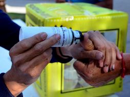 El domingo 2 de junio se realizarán en México las elecciones presidenciales de 2024. EL INFORMADOR / ARCHIVO