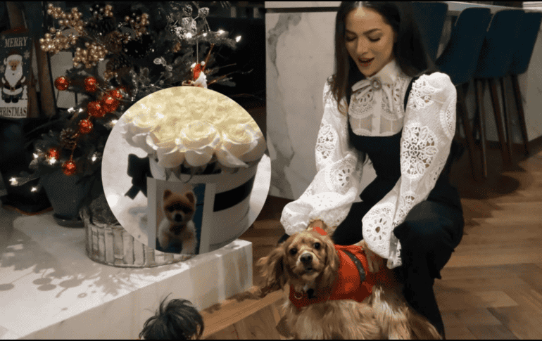 La cantautora tapatía compartió en sus redes sociales unas conmovedoras palabras tras la muerte de su mascota. INSTAGRAM/ patycantu