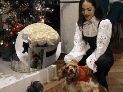 La cantautora tapatía compartió en sus redes sociales unas conmovedoras palabras tras la muerte de su mascota. INSTAGRAM/ patycantu