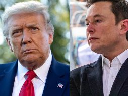 Las fuentes aseguran que Musk y Trump, antaño enfrentados, se han ido acercando cada vez más y ahora conversan por teléfono 