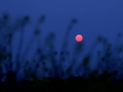 En junio de 2024, habrá numerosos eventos astronómicos imperdibles. Desde la alineación de planetas hasta la encantadora 'Luna de Fresa. PEXELS/Ankit Rainloure