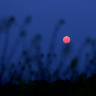 ¿Cuándo Será la "Luna de Fresa" y por qué se le llama así?