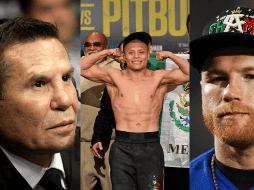 'Pitbull' Cruz asegura que 'Canelo' es mejor boxeador que Julio César Chávez