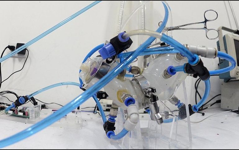 Estómago artificial que pretende emular el funcionamiento de un estómago humano. ESPECIAL/Foto de UNAM en X