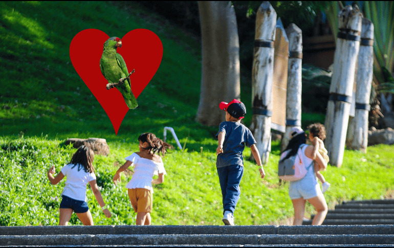 Asiste a este evento especial promocionado por el Zoológico de Guadalajara. EL INFORMADOR / ARCHIVO