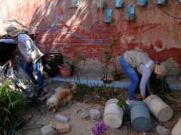 La Secretaría de Salud Jalisco recuerda a la ciudadanía que los brigadistas deben portar chalecos, color beige y gafete y sólo realizan labores de limpieza, identifican criaderos y eliminan huevecillos. ESPECIAL