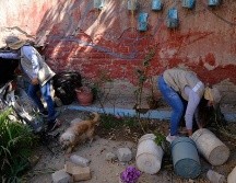 La Secretaría de Salud Jalisco recuerda a la ciudadanía que los brigadistas deben portar chalecos, color beige y gafete y sólo realizan labores de limpieza, identifican criaderos y eliminan huevecillos. ESPECIAL