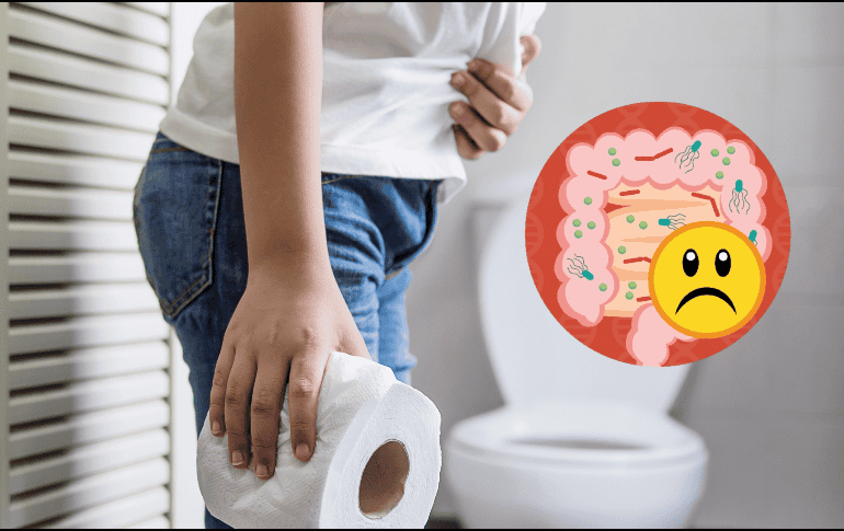 La microbiota intestinal ayuda a mantener un equilibrio saludable en nuestra flora intestinal.  ESPECIAL