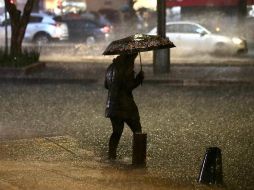 Según expertos, cuando se dan por lo menos tres lluvias seguidas es cuando se considera que el temporal comienza. SUN / ARCHIVO
