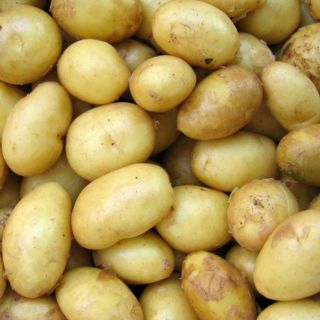 Usos de la papa en la piel que NO conocías