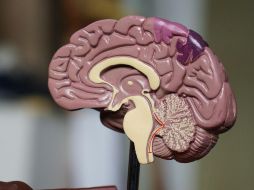 La pérdida progresiva de la memoria forma parte del proceso de envejecimiento humano. Unsplash.