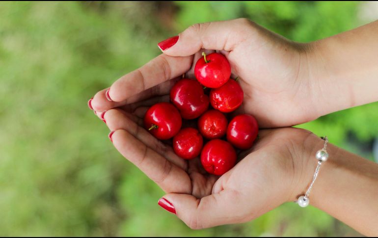 Este fruto exótico contiene altos niveles de fibra, antioxidantes y vitaminas. ESPECIAL/Foto de Manu Camargo en Unsplash