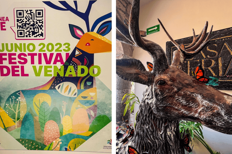  EL INFORMADOR/A. NAVARRO