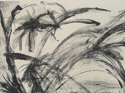 La muestra se compone de 37 obras en pequeño, mediano y gran formato. CORTESÍA