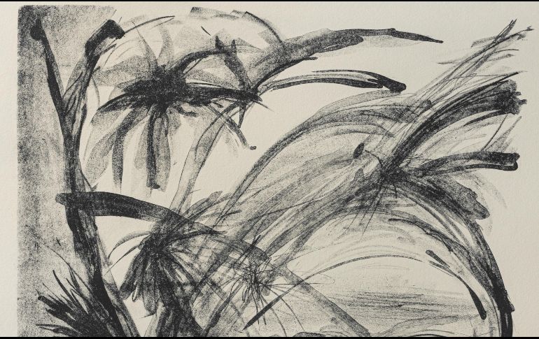 La muestra se compone de 37 obras en pequeño, mediano y gran formato. CORTESÍA