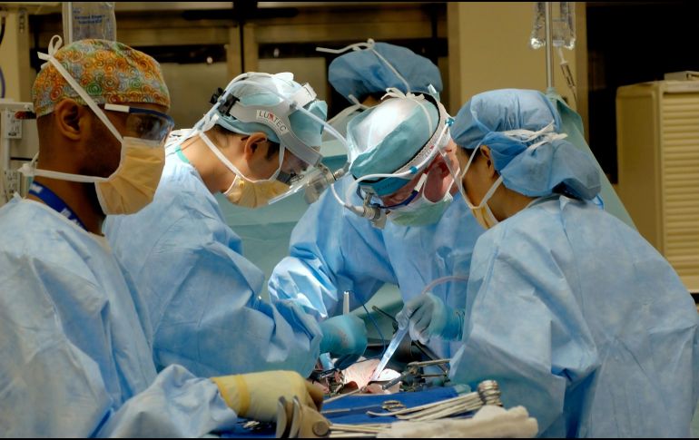 La respuesta a eta investigación sería digna ganadora de un Premio Nobel. UNSPLASH / NATIONAL CANCER INSTITUTE