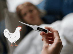 La gripe aviar se está convirtiendo en un problema de sanidad en México. CANVA