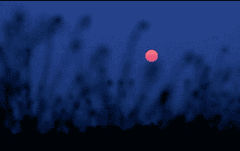 Aprovecha esta próxima Luna de fresa para atraer la abundancia a tu vida y disfrutar de una buena semana. PEXELS/Ankit Rainloure