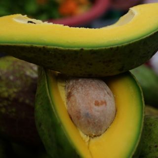 El aguacate no debe consumirse si padeces estas enfermedades